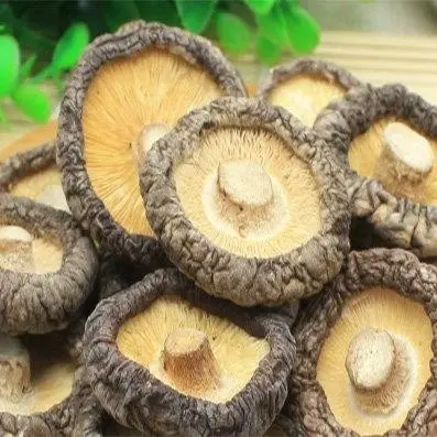 Dried Shiitake Mushroom in VIETNAM with HIGH QUALITY/Whatsapp +84-845-639-639