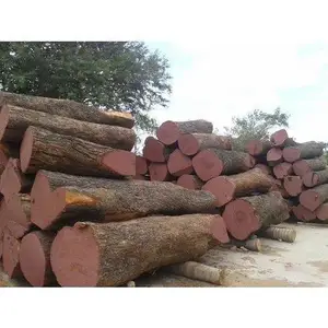 Blocs de bois dur africains, 80 cm, idéal pour servir du bois fort, des vignes
