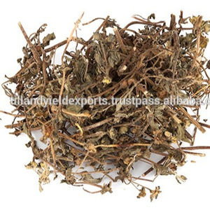 Naturel Bhringraj fruits/poudre/extrait - Product Image 1