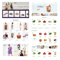 B2C Online alışveriş Web tasarım Web sitesi oluşturucu e-ticaret PHP tasarımcıları sitesi geliştirici lider Online B2B ticaret pazarı