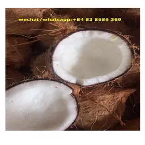 Semi-Vietnã casca de coco amadureceu coco preço mais barato em Ben Tre