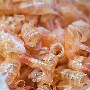 Coquilles de crevettes séchées pour la fabrication de chitine, chitosane et glucosamine - Product Image 2