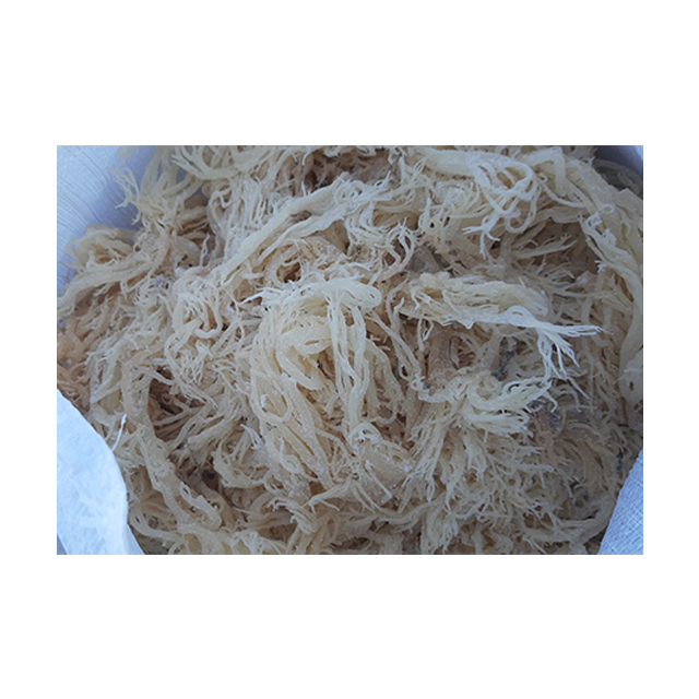 Оптовая продажа морских водорослей/сушеный морской мох из хлопка Eucheuma/порошок ирландского Моха для извлечения каррагоина 0084817092069 WS
