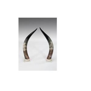 Corne décorative de buffle et support de base en laiton artisanal meilleure corne décorative de paire de buffle pour vaisselle à bas prix - Product Image 2