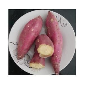 Rodajas de batata secas al vapor IQF verduras frescas cortadas congeladas personalizables procesadas Origen de Vietnam paquete al vacío de grado superior - Product Image 2