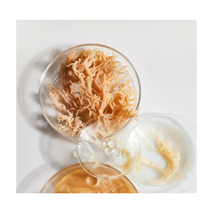 <b>Sea</b> <b>Moss</b> Irish <b>Moss</b> Wildcrafted 100% <b>Natural</b> - Product Image 3