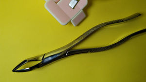 Pinzas dentales - Product Image 4