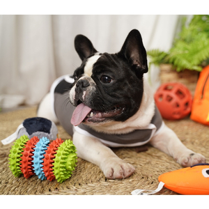 Juguete de molienda de engranaje para mascotas, limpieza de dientes de perro, Molar, goma Natural personalizada, juguetes para morder para todas las estaciones - Product Image 6