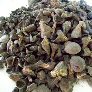 Semitree — repose-paume de palmier agricole de haute qualité, coquille pour la production d'aliments 60 ml - Product Image 5