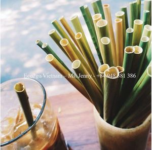 หลอดหญ้าธรรมชาติขายส่ง / หลอดหญ้าเป็นมิตรกับสิ่งแวดล้อมและย่อยสลายได้ / หลอดหญ้าในเวียดนาม - Product Image 4