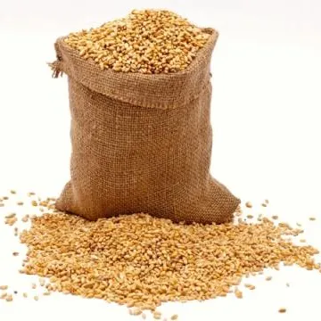 2021 Sal用の新鮮な有機バルク小麦種子小麦粒