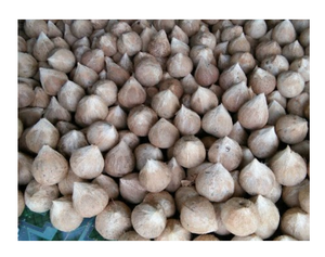 อินทรีย์สดผู้ใหญ่มะพร้าวราคาที่แข่งขันมากที่สุดสำหรับการส่งออกในเวียดนาม - Product Image 4