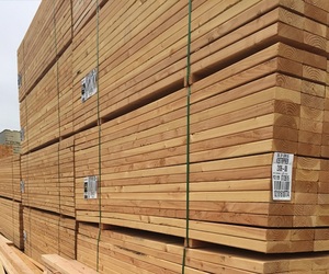 Madera de pino tratada, madera de pino para construcción, Mgp 10 - Product Image 4