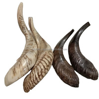 Shofar artisanal sur mesure en corne naturelle de haute qualité, finition polie, style animalier, Z CRAFTS AZC/0153 Art