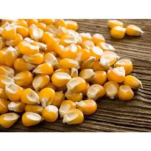 Сухая Кукуруза/сушеная Желтая Кукуруза/сушеная сладкая кукуруза