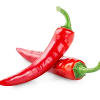 Hochwertige frische rote Chili direkt von der Farm in Vietnam Kontaktieren Sie jetzt, um das beste Angebot zu erhalten