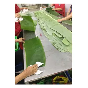 Свежий зеленый органический банановый лист, вьетнамский банановый лист для приготовления еды и хранения овощей в магазине