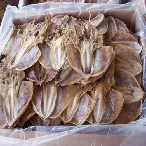 Cuttlefish bones for making chitosan Dried cuttlefish bone big size Dry cuttlebones