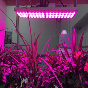 Lámpara de Cultivo LED Sansi, Luces de Cultivo Interior LED Hidropónicas, Luz de 400W, <span class=keywords><strong>HPS</strong></span> de 1000W - Product Image 3