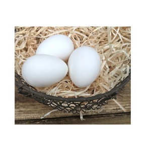 Qualité d'approvisionnement Marron/Oeufs de Table Blancs - Product Image 6