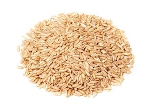 Aliments pour animaux séchés, grains d'avoine - Product Image 3