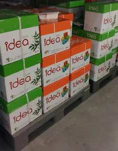 Papel de copiadora fotográfica A4 240G-A Papel fotográfico no impermeable brillante/Ahorro de costos reciclable Hoja de deslizamiento de papel Kraft internacional anti - Product Image 5