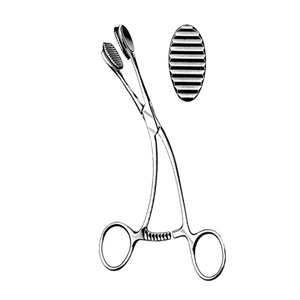 Fórceps de sujeción de lengua Guy, equipo Dental de acero inoxidable, fuente de alimentación Manual, instrumentos quirúrgicos - Product Image 5