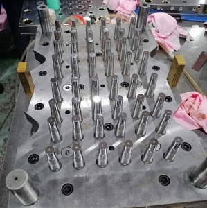 Spécialisé dans la fabrication de moules de précision. Mousse sous vide pour toutes les pompes en plastique, valve d'aérosol-moule à poussière - Product Image 4