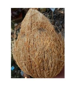 COCO SEMI-DESHUESADO SECO - Product Image 1