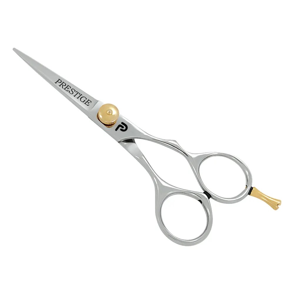 Классический дизайн Парикмахерские ножницы парикмахерские ножницы для волос 6,0 дюйма