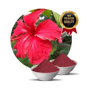 Großhandel natürliche organische getrocknete Hibiskus Rosa-sinensis Blumen pulver hohe Qualität 100% natürliche organische Hersteller OEM