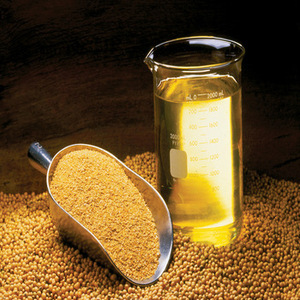 Aceite de Soja Hidrogenado Refinado 100%, Grado A, Empaquetado a Granel, Certificado ISO-HACCP-KOSHER, Gran Venta - Product Image 2