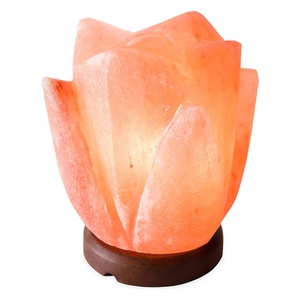 Eleve el Ambiente de Su Espacio con la Lámpara de Tulipán de Sal del Himalaya Tallada de Primera Calidad de Sian Enterprises - Product Image 2