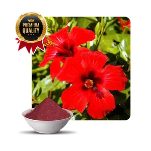 100 % Organic Indian Herbs Hibiscus Powder Manufacturer Exporter From India