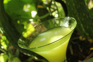 Aceite de semilla de pepino orgánico | Aceite esencial de pepino puro y natural-Precio al por mayor para el cuidado de la piel y aromaterapia - Product Image 3