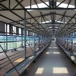 Estructura de cobertizo de vaca de largo alcance, estructura de acero prefabricado/cobertizo de vaca lechera, estructura de acero para granja, bajo precio