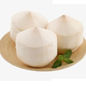 เนื้อมะพร้าวอ่อนทั้งลูก สดใหม่ 100% จากธรรมชาติ เบนเต้ เวียดนาม เกรด 3 เก็บได้นาน 3 เดือน เหมาะสำหรับเครื่องดื่ม อาหาร และของหวาน - Product Image 6
