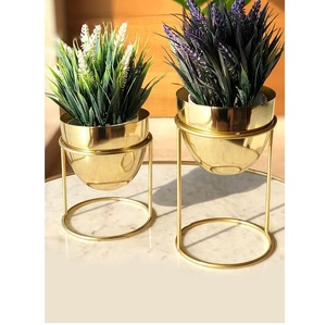 Oval Shape Gold Plated Black Powder Coated Iron Planters Stand Eco-Friendly Indoor/Outdoor <b>Flower</b> Pots for Home Garden-Iqbal - Product Image 1