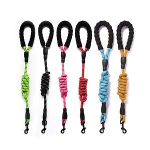 Dog Leash and <b>Collar</b> - Product Image 1