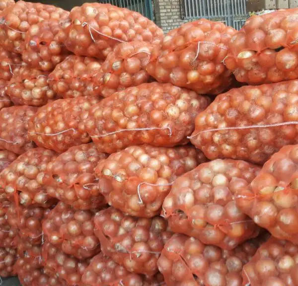 Fresh Onion In Bulk Cheap Red/Yellow Onions For Sale