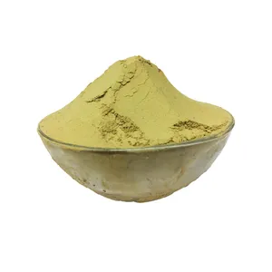 Indian Supplier of Premium Quality Bulk Supply Pure and Natural Aloe Vera Powder for Wholesale Purchase