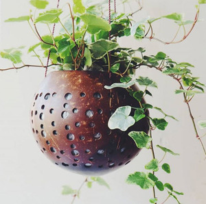 Fabricante de carcasa de coco colgante para planta - Product Image 1