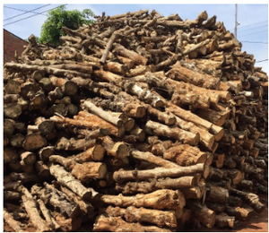 Cà phê than gỗ mềm trấu bánh màu đen cho hookah Shisha than New item giá rẻ Giao hàng nhanh ms. Serena - Product Image 3