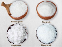 Viet Nam chips de noix de coco desséchées biologiques/dessicés/flocons de noix de coco- (Kelvin + 84 924736232)
