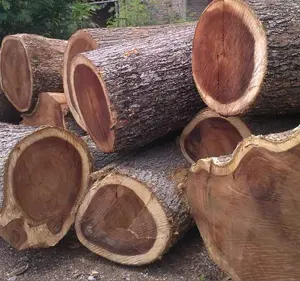 Nizza holz, hohe qualität für möbel Raintree holz, decking boards und holz panels