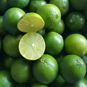 Top sale of Fresh green lemon without seed natural 100% from Viet Nam contact to +84 911 695 402