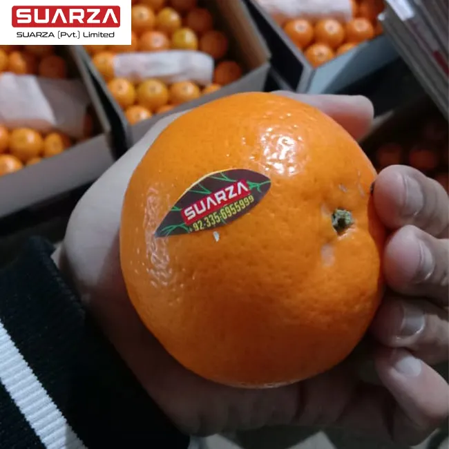 Neue ernte frische honig baby zucker shatang mandarin orange