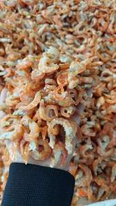 ขายร้อนกุ้งแห้งสำหรับธุรกิจวันหยุด - Product Image 4