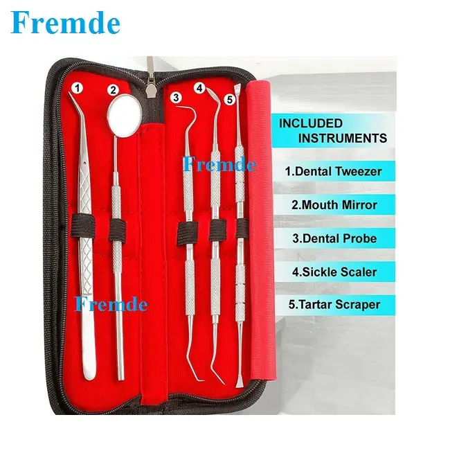 Dental Hygiene Instruments Kit/ 5 Piece