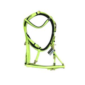 Bride de licou en PVC avec rênes en caoutchouc assorties - Product Image 1